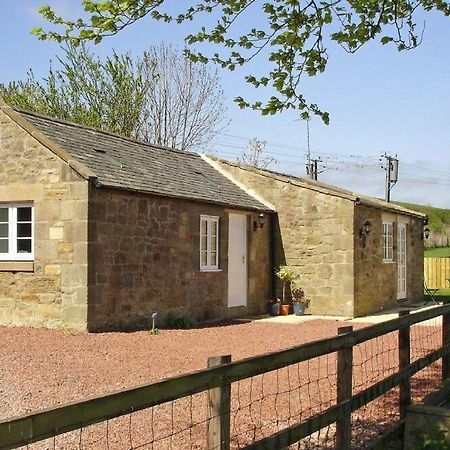 Plumtree Cottage Alnmouth Exteriör bild